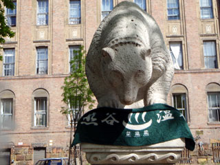 bp4120026