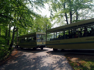 bp5011893
