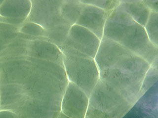 bp5242005