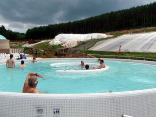 bp60604231