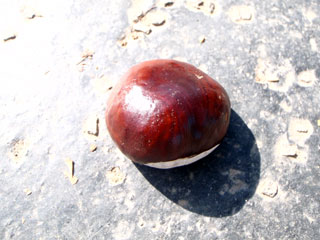 bp9203418