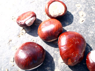 bp9203419