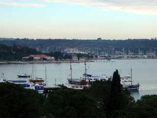 bpc211129