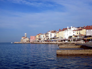 bpc221167