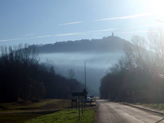 bpc231236