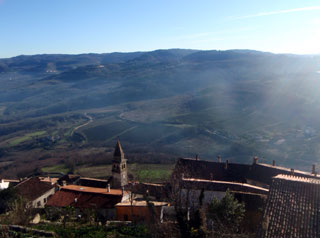 bpc231244