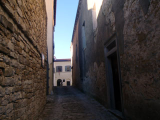 bpc231246