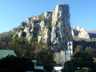 bpc231258