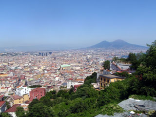 p7282546